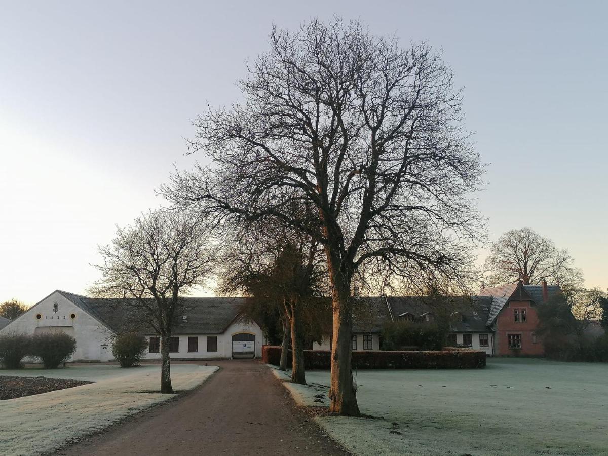 Edelsminde Bed & Breakfast Haslev Exterior photo